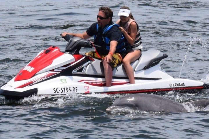 Jet Ski Dolphin Watch Tour