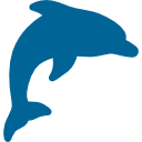 dolphin-1 dolphin-1