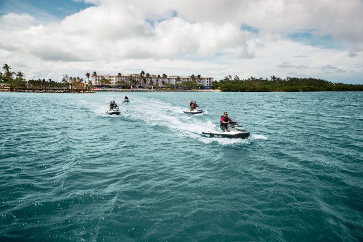 a group of people swimming in a body of water