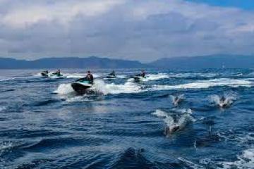 a group of people swimming in a body of water