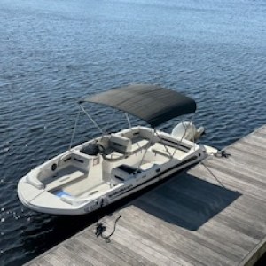 White motorboat with canopy docked beside wooden pier on a sunny day.
