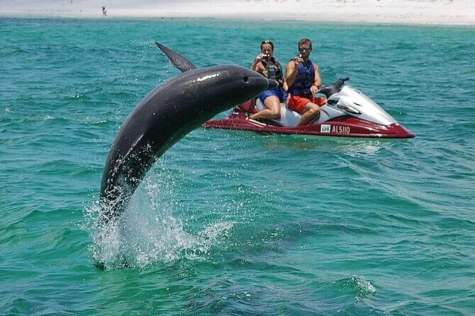 Dolphin leaping from water near two people on a jet ski.