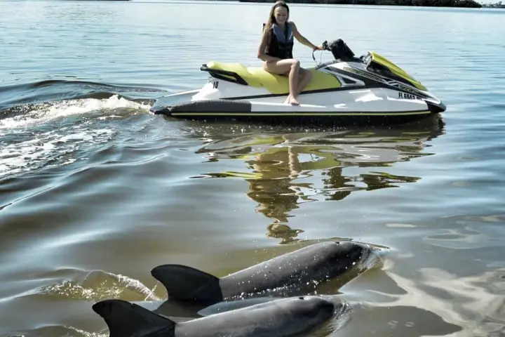 Person on a jet ski with two dolphins swimming nearby in calm water.