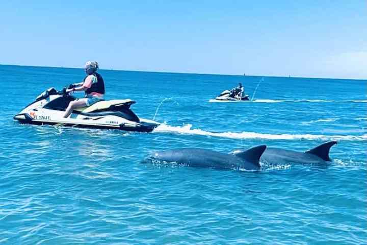Two people on jet skis near dolphins in blue ocean.