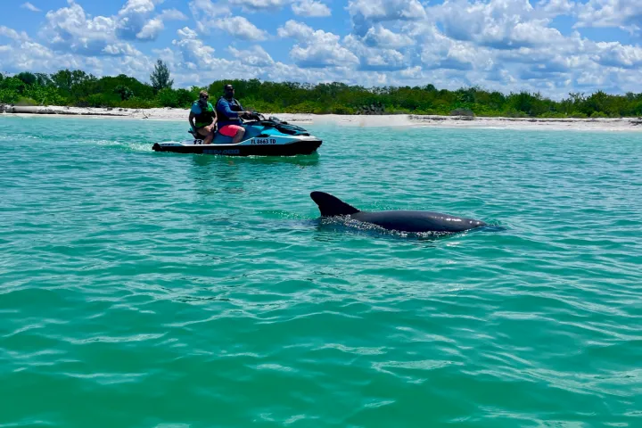 Jet ski on turquoise water near dolphin, cloudy sky in background.